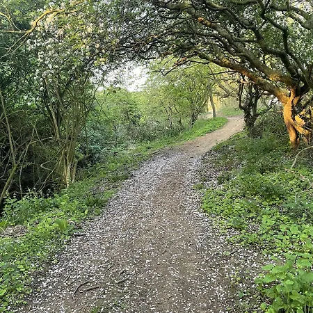 Waves At The Bay בית נופש