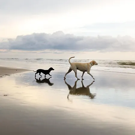 Waves At The Bay Reighton